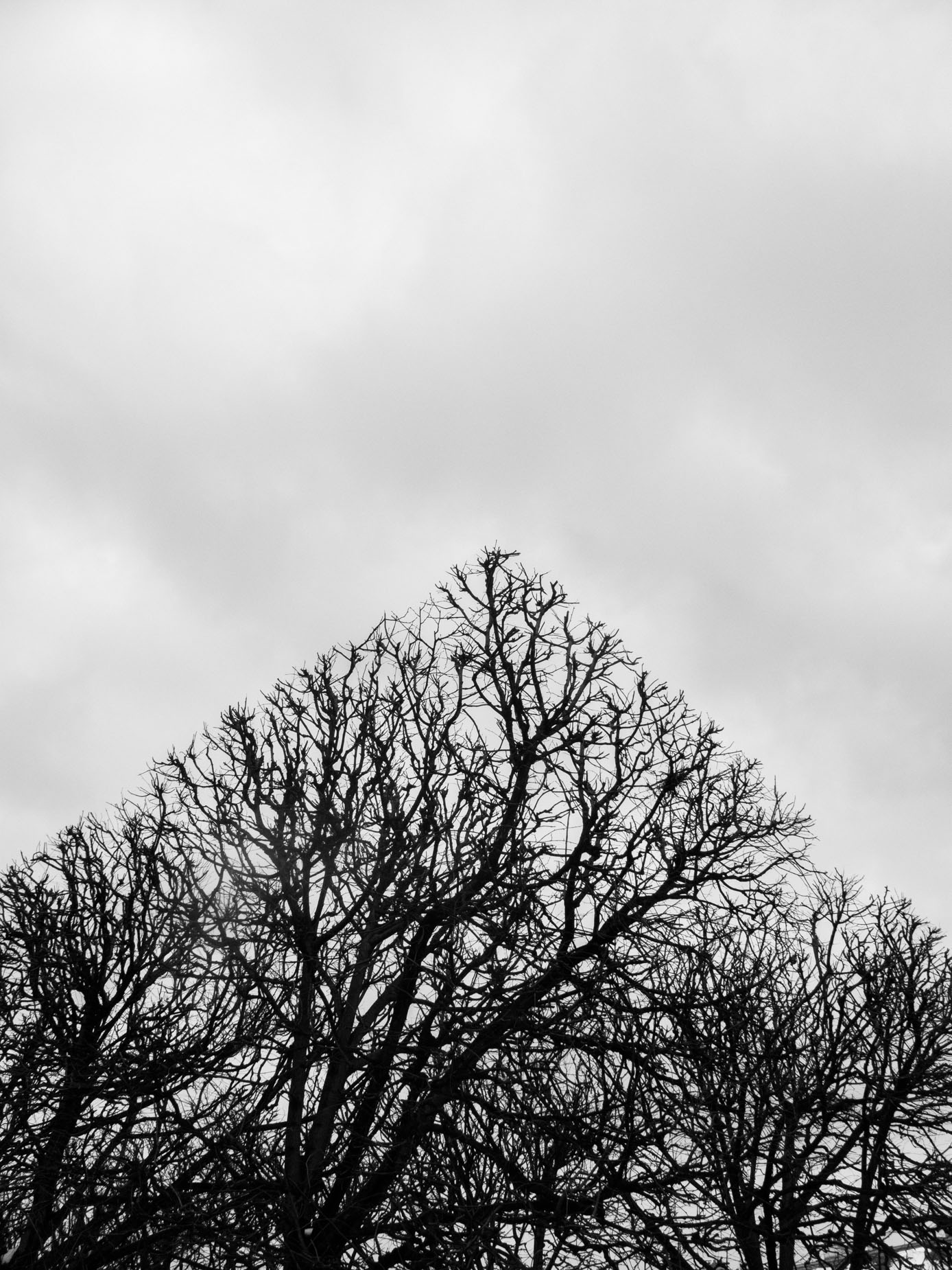 Alex_Aristei_paris_020