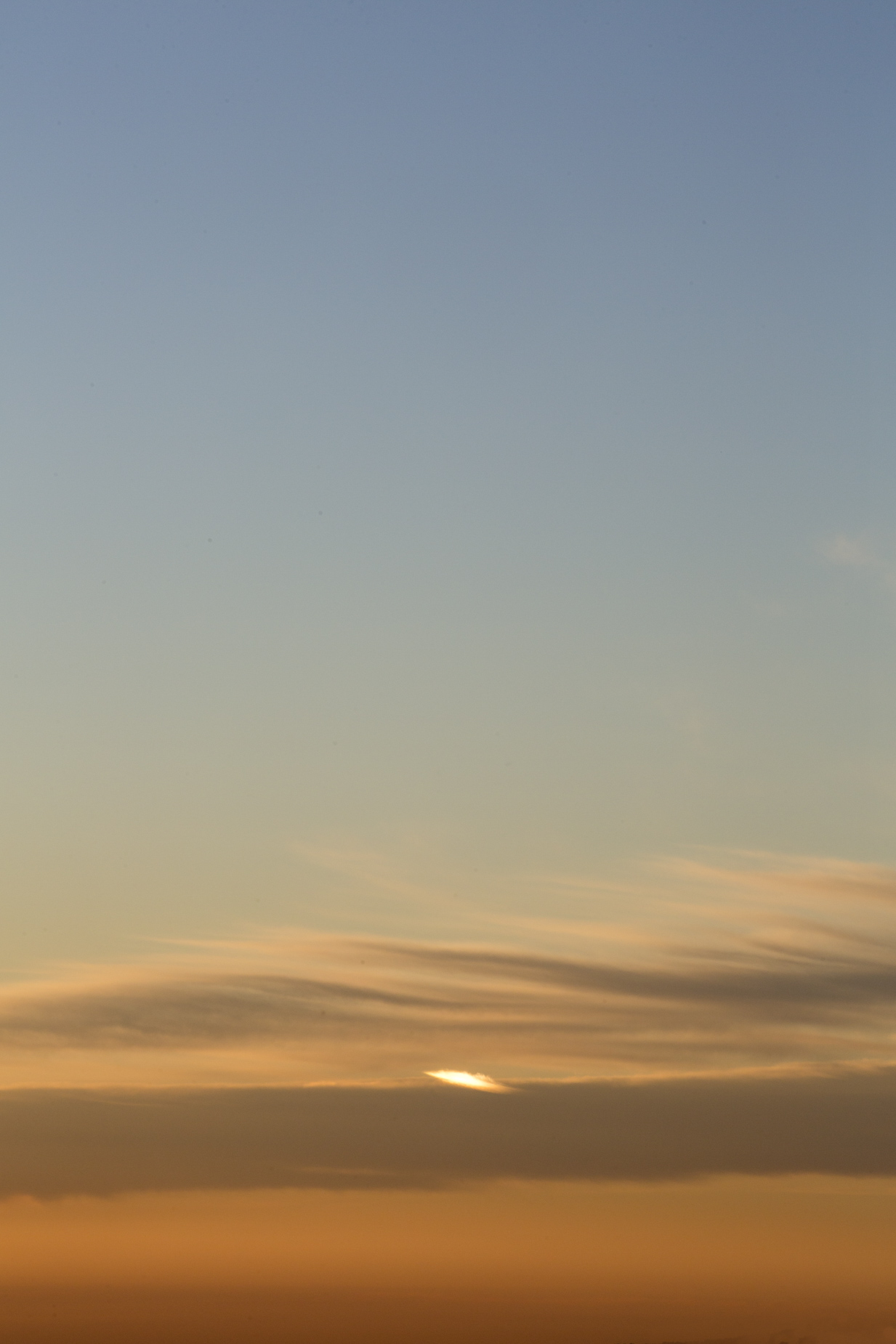 Alex_aristei_prints_0052